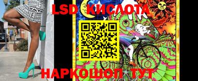 гидра Камень-на-Оби