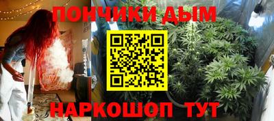 крисы Бийск