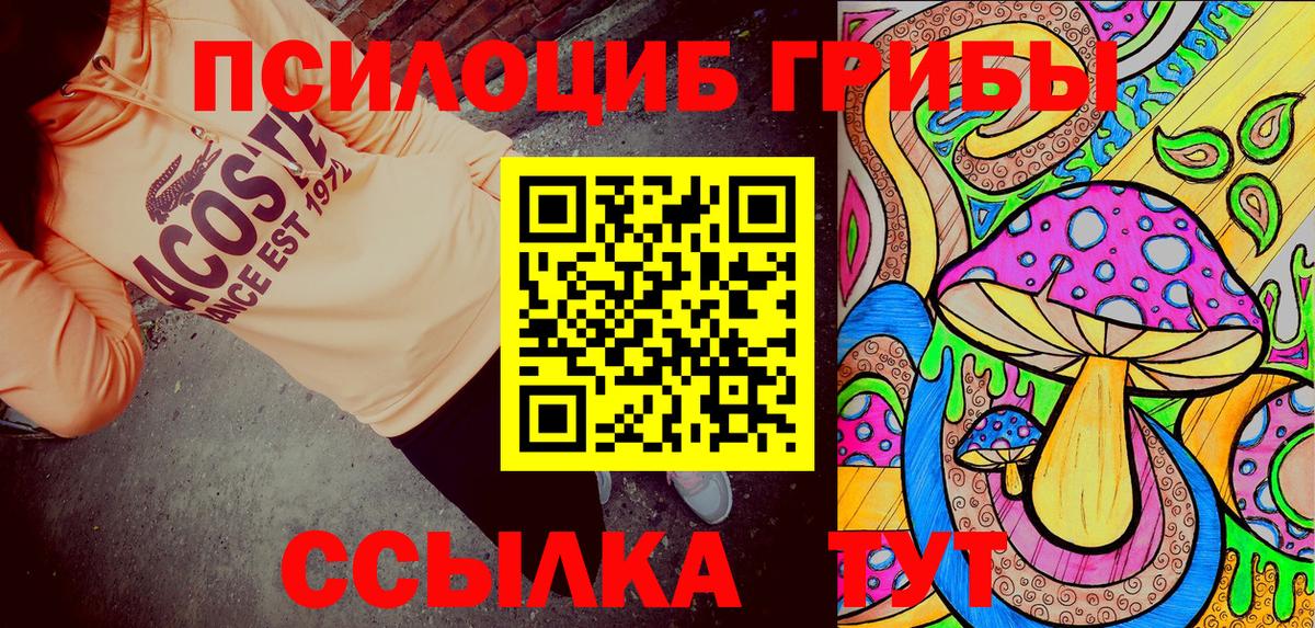 Галлюциногенные грибы Psilocybine cubensis  Вход с VPN  Галлюциногенные грибы Psilocybe  Кириши 